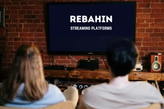 Rebahin streaming services